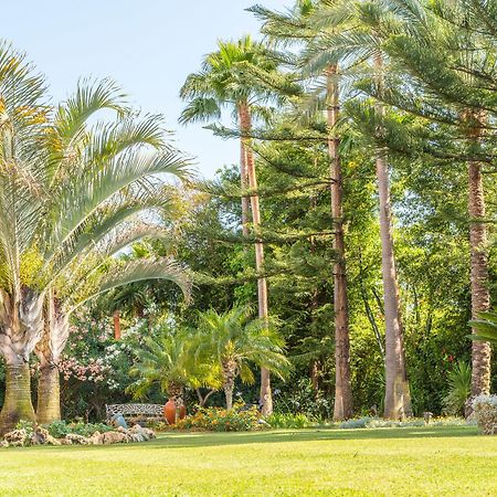 The Grand Oasis Estepona Marbella Eksteriør billede